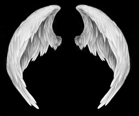 photos of angel wings